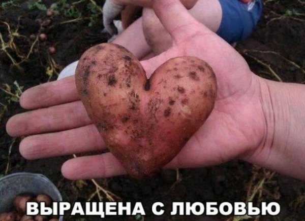 ПОЗИТИВНЫЙ ПОСТ+ 166
