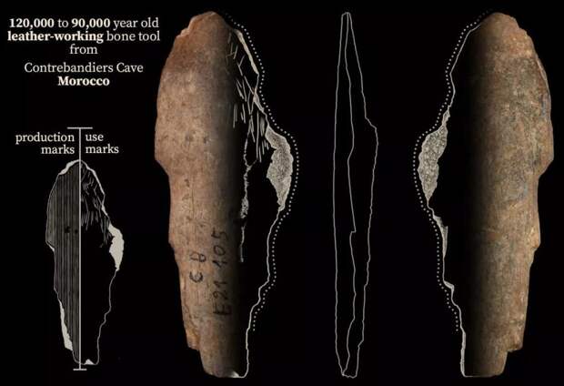 На берегах Африки нашли орудия для изготовления одежды возрастом около 100 тыс. лет