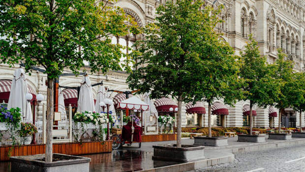 Москвичей предупредили о погодных «качелях» в мае: когда ждать +23, а когда — резкое похолодание