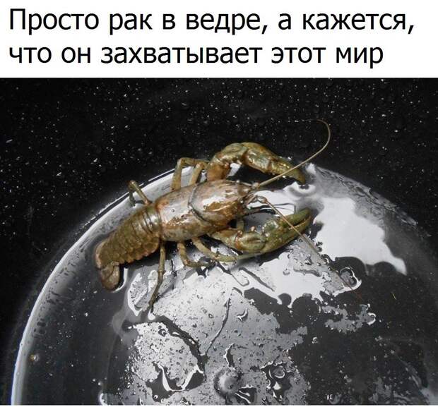 AmxqUhpKUHk