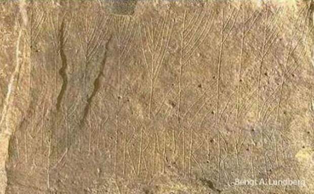The runic inscription within the Stone Age burial chamber on Orkney. (Бенгт А. Лундберг).