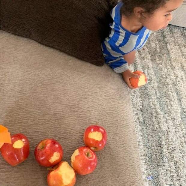 Забыли убрать яблоки