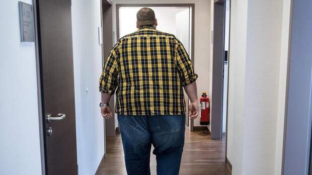 В РАН предсказали возможность начала эпидемии ожирения в России