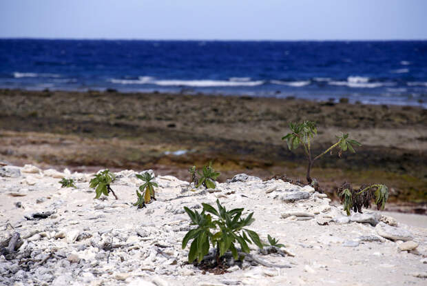 Коралловый пляж на острове Леди-Эллиот
