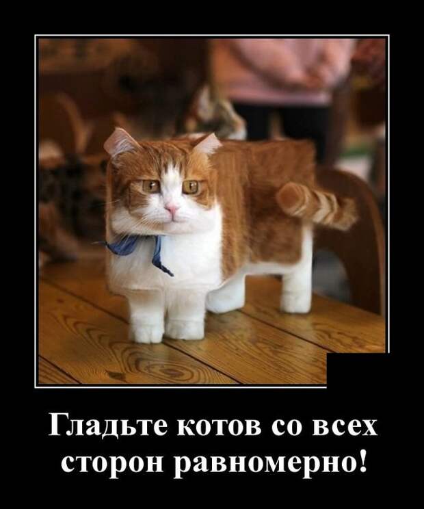 Демотиваторы (20 фото)