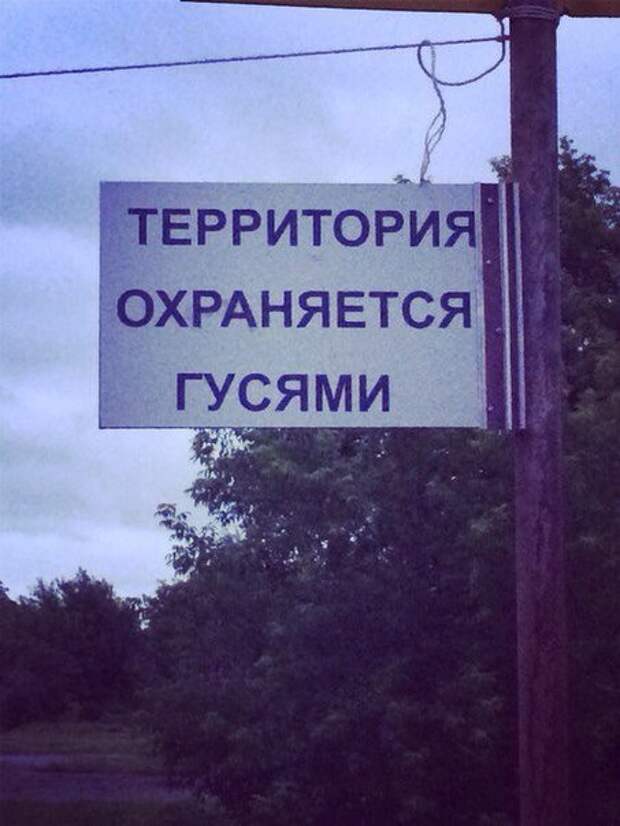 Приколы