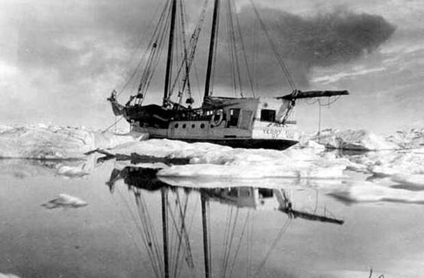 Шхуна «Teddy Bear», которую Стефанссон нанял в качестве судна снабжения, оказалась заблокированной льдами у острова Врангеля Ада Блэкджек, арктика, интересно, история, познавательно, факты