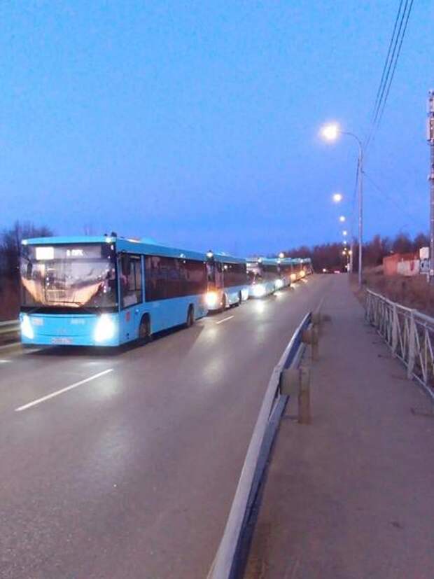 Почти 30 автобусов проверили транспортники в Колпинском районе Петербурга