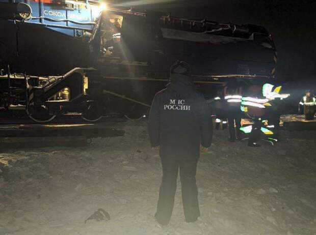 В Тульской области сошли с рельсов семь вагонов грузового поезда, изменён график четырёх поездов