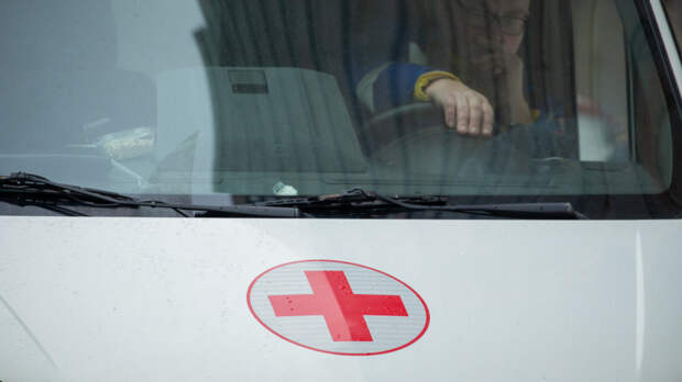 Четвероклассница ранила учителя кухонным ножом в школе в Ховрине