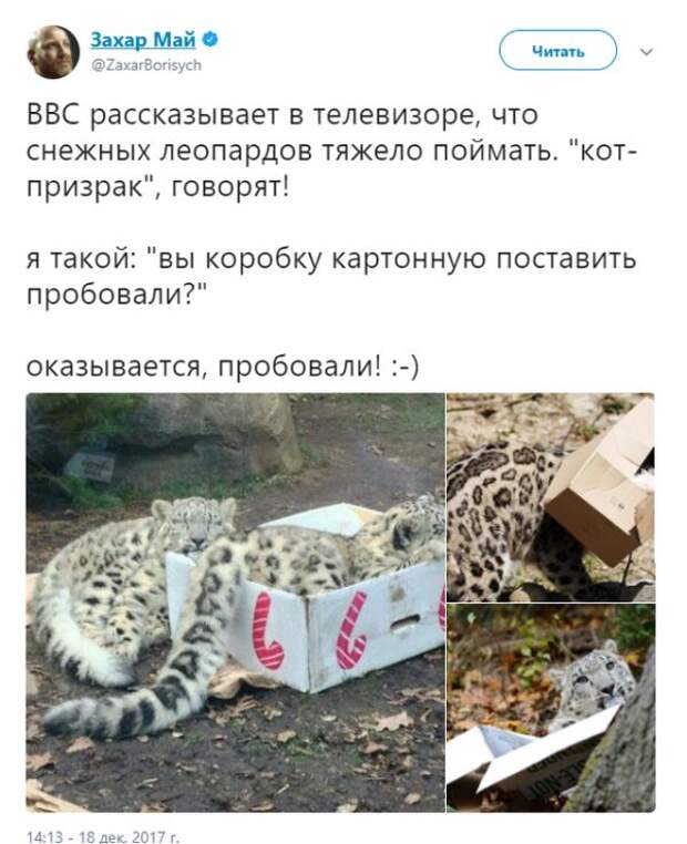 Подборка картинок. Вечерний выпуск (54 фото)