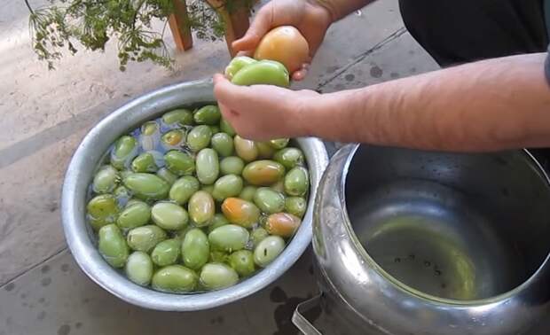 как засолить зелёные помидоры быстро