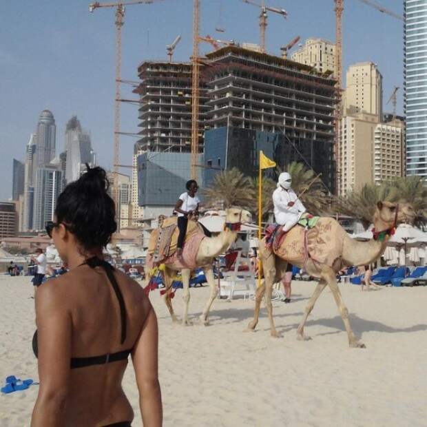 29 фото из Дубая, доказывающих, что этот город весьма причудлив 