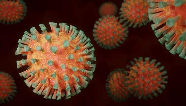 Еще 754 случая коронавируса выявили в Подмосковье за сутки