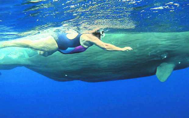 Брелоки хранят истории о шторме и добром шамане