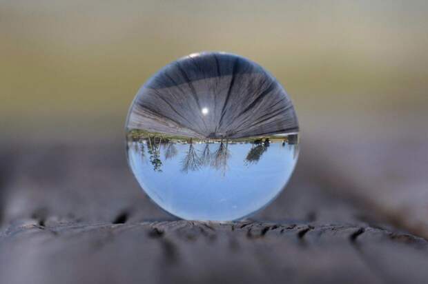 Природа. Фото: pixabay.com