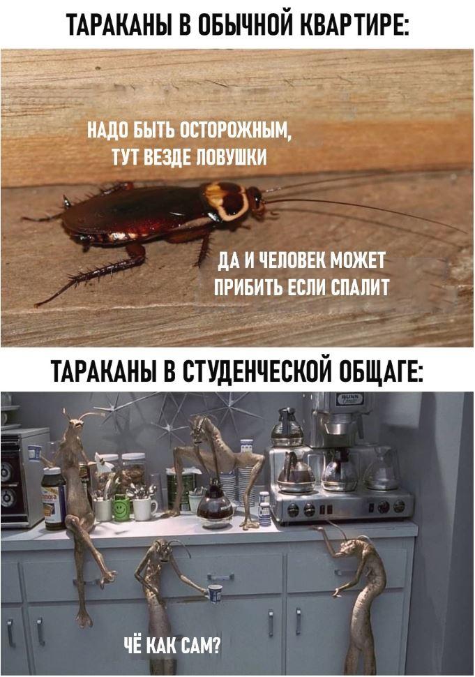 Ржачные картинки (18)
