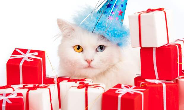 Как работодатели в Архангельске поздравляют сотрудников с днем рождения