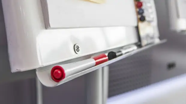 В Московской области стартовал экологический форум «СтЭКОвка»