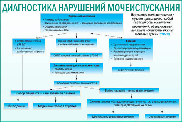 Частое мочеиспускание у мужчин без боли