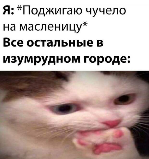 1583462339_rzhaka-23.jpg