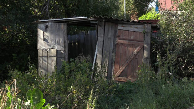 Уличный туалет давно оброс высокой травой, как и весь дом Фото: L!FE