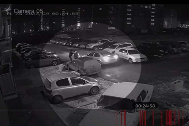 Воровать или не воровать: новосибирский суд отправил Гамлета в колонию