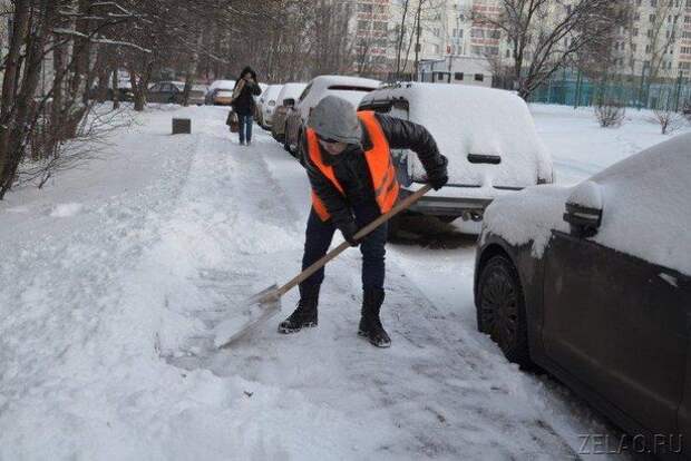 Жилищник зеленоград работа