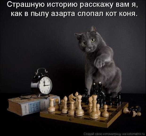 Мысли вслух :)