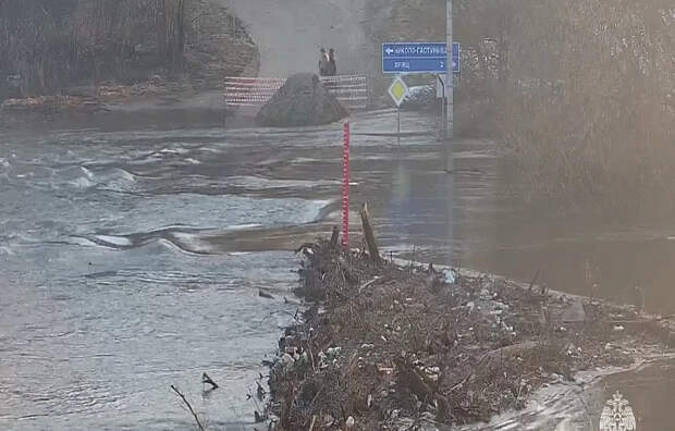 Ещё два моста в Тульской области могут оказаться под водой уже 30 марта