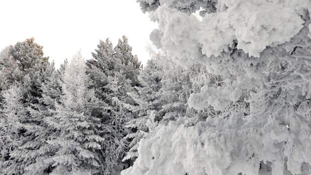 В Красноярском крае два сибиряка переночевали в палатках при -43 °С