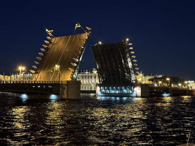 Дворцовый мост на 135-летний юбилей Ахматовой украсят лазерным портретом