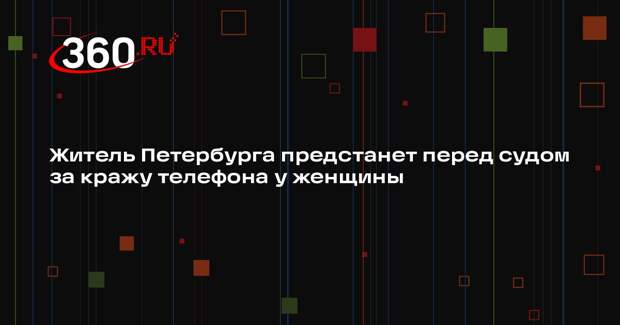 Житель Петербурга предстанет перед судом за кражу телефона у женщины