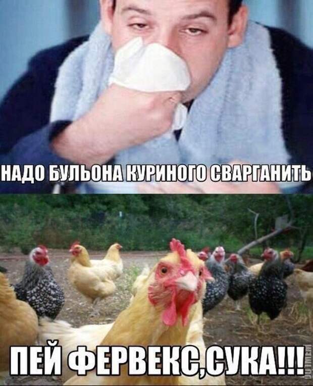 Картинки с надписями мем, прикол, юмор