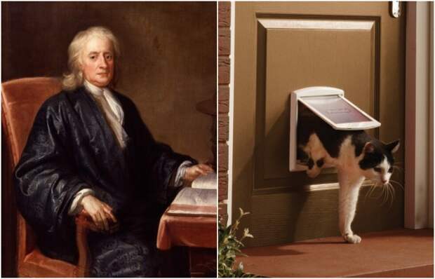 Один из основателей современной физики ещё и котикам жизнь облегчил. /Фото: creacenter.org, petsafe.su