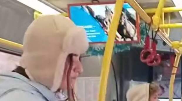 «Вместо мяча обезглавленная туша козла»: жителям Владимира в автобусах показывают варварскую игру мигрантов – козлодрание