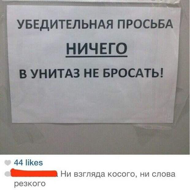 Смешные картинки с надписями прикол, юмор