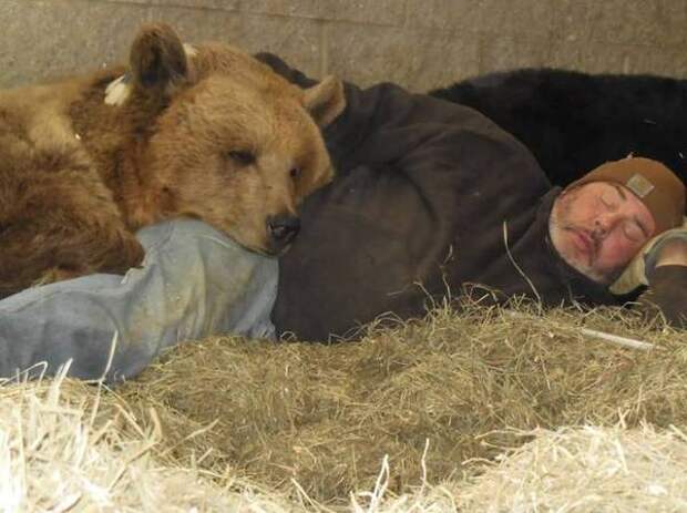 Джим и Джимбо: многолетняя дружба человека и медведя медведь, дружба, кадьяк, длиннопост