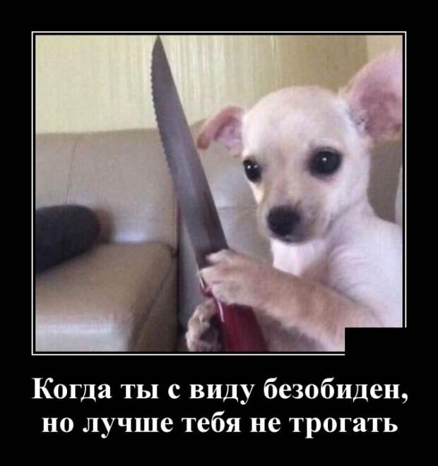www.vsyako.net