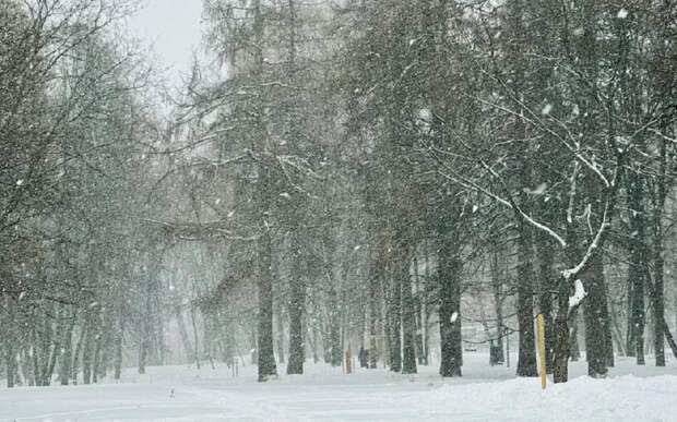 В ближайший час в регионе испортится погода