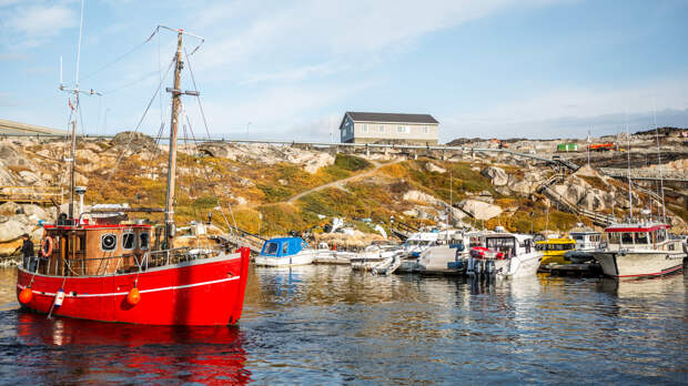 Шансы США получить контроль над Гренландией оценили