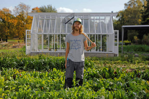 Огород в город