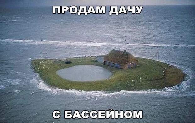 Прикольные фото