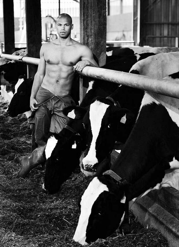 french-farmers-calendar-2017-fred-goudon-vinegret-5