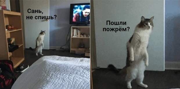 Пожрём?