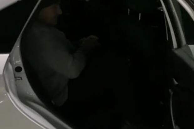 4155046.jpg