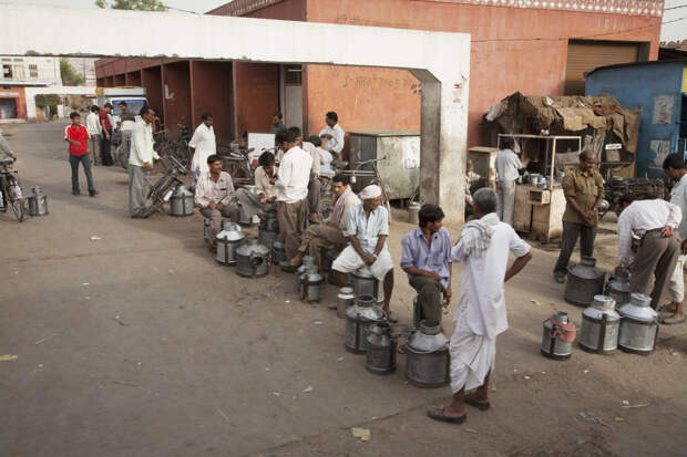 Россиянин показал рынок молока в Индии и вызвал отвращение у пользователей сети