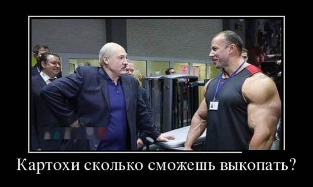 Демотиваторы (30 фото)