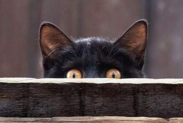 Тут сложно не удивляться!