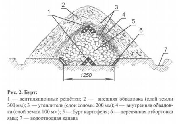 Кладовая для урожая Кладовая для урожая